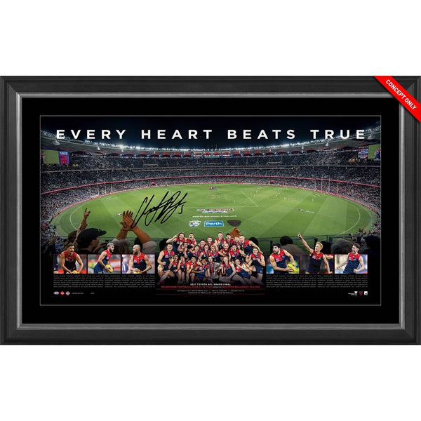 MELBOURNE DEMONS 2021 SIGNED PANORAMIC