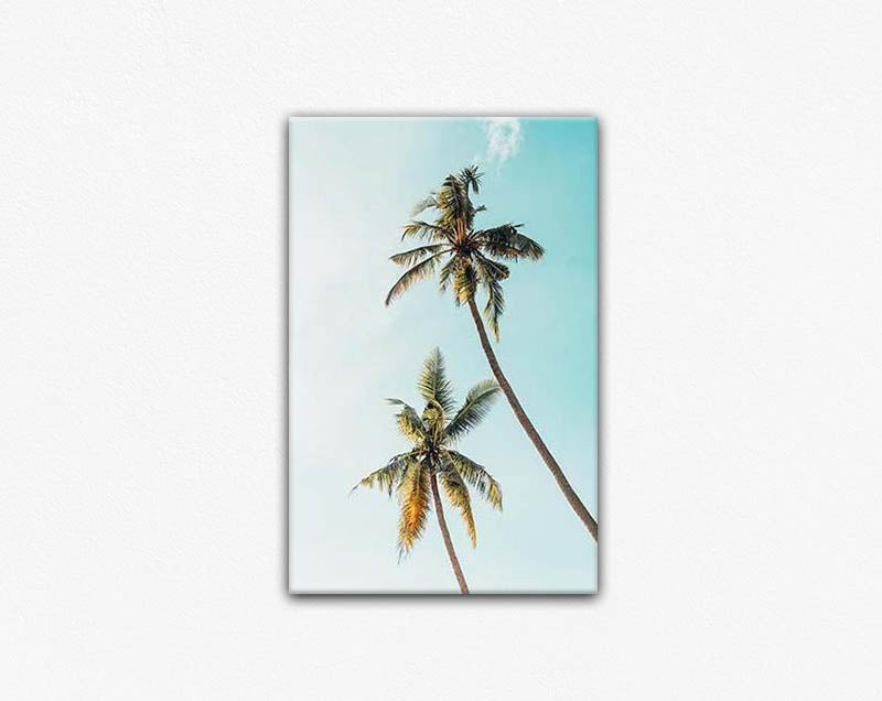 Day Palms Canvas Print