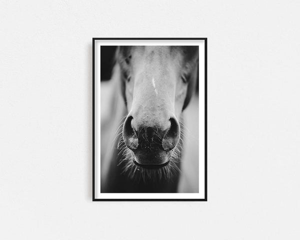 Stallion Smell Framed Wall Art