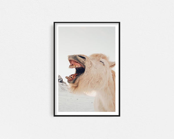 The Laughing Stallion Framed Wall Art