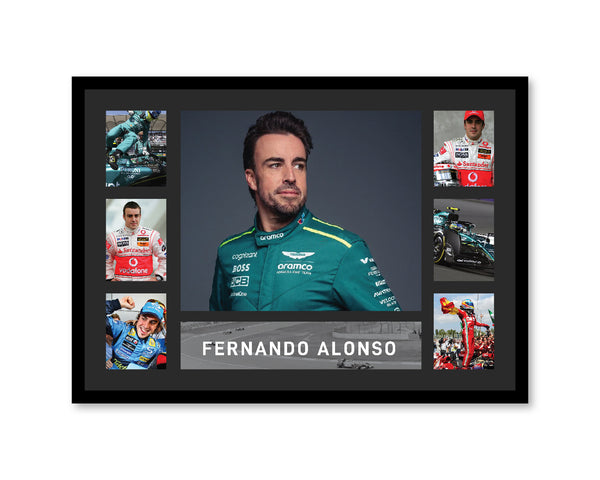Fernando Alonso - Tribute Frame