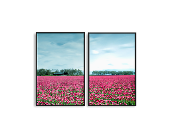 Netherlands Tulip Field Set Includes Two Prints