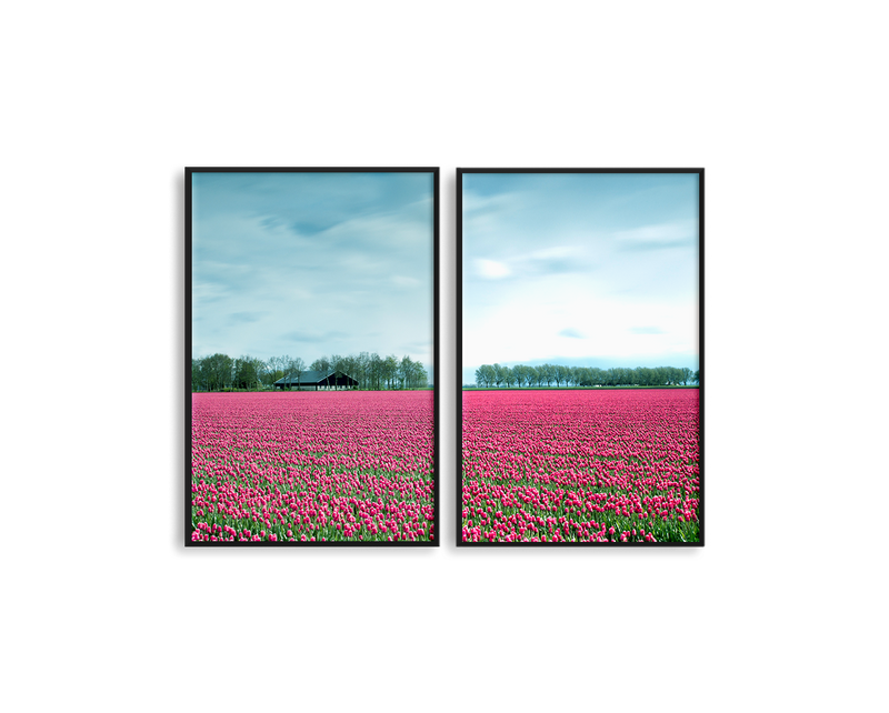 Netherlands Tulip Field Set Includes Two Prints