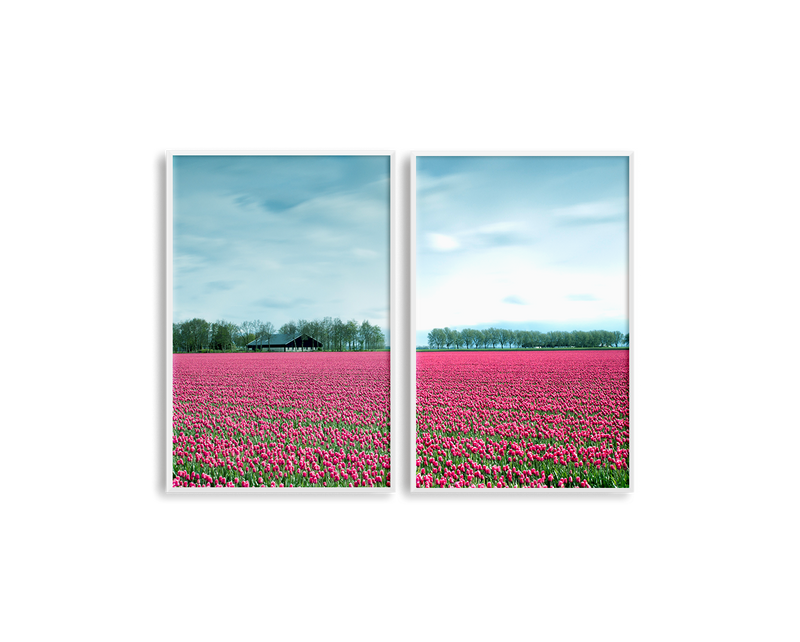 Netherlands Tulip Field Set Includes Two Prints