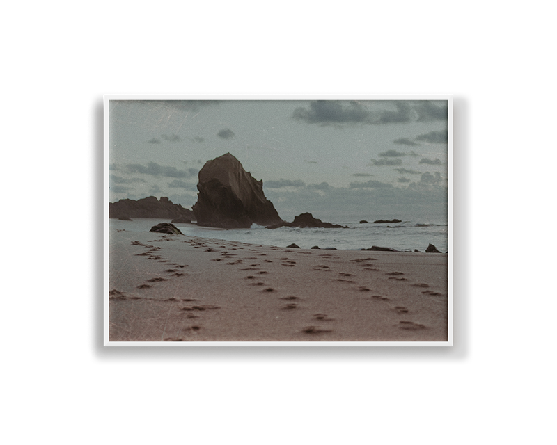 Film Series - One Rock