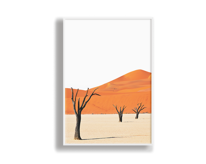 Desert House Portrait