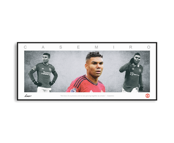CASEMIRO PANORAMIC COLLAGE PRINT SIGNED FRAMED WINGS