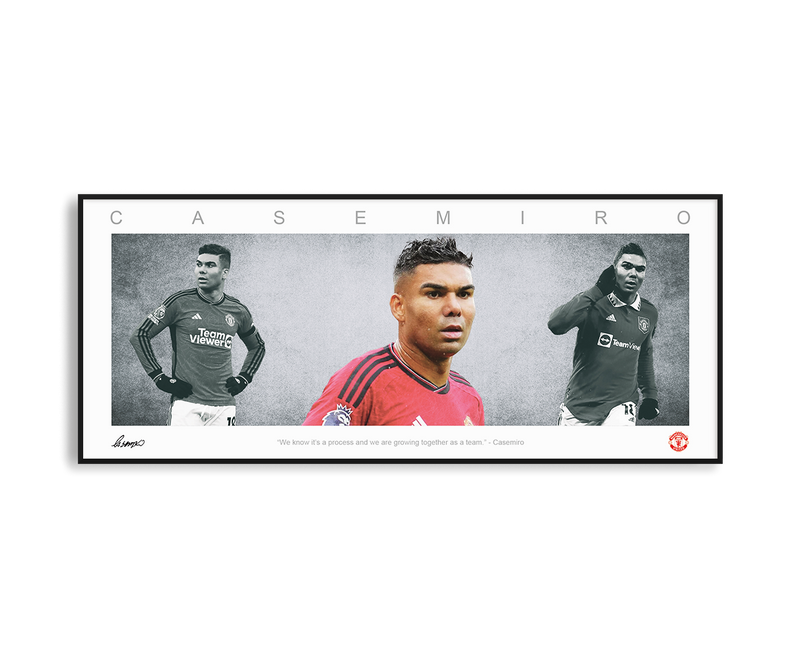 CASEMIRO PANORAMIC COLLAGE PRINT SIGNED FRAMED WINGS