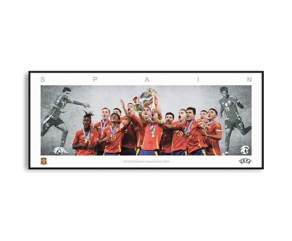 SPAIN CHAMPIONS COLLAGE PRINT SIGNED FRAMED WINGS