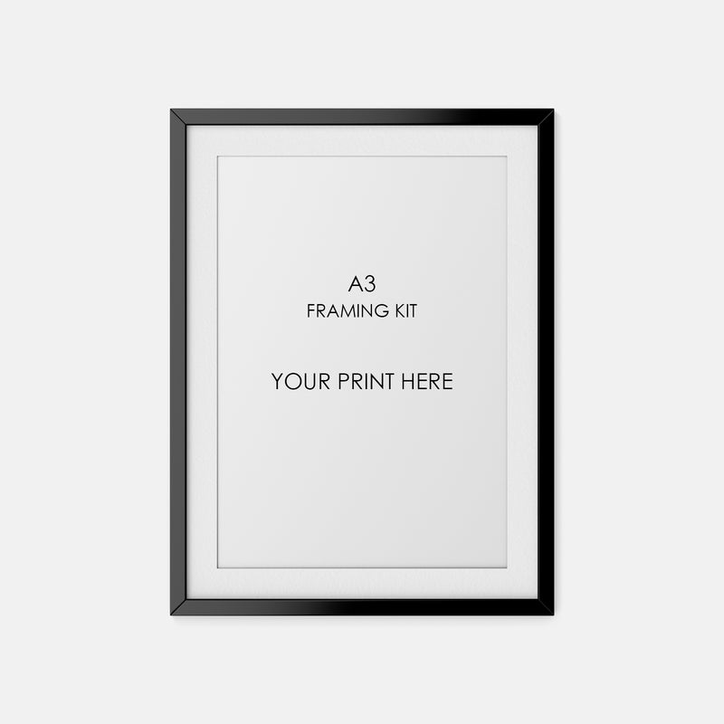 Premium Frame Kit (A3) + 3 Prints
