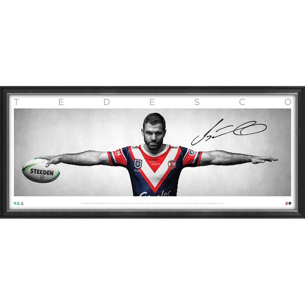 JAMES TEDESCO SIGNED WINGS