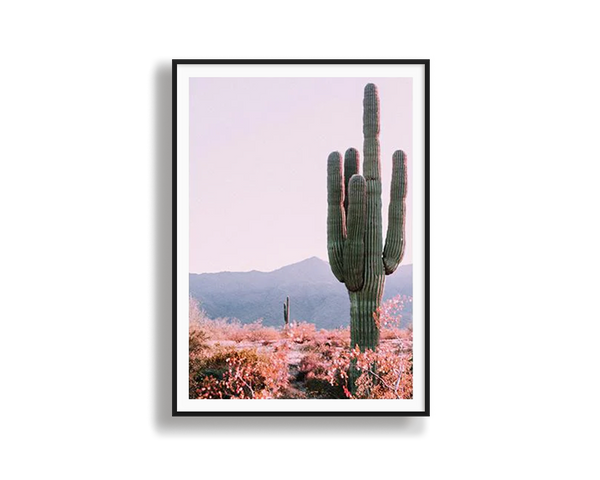 Cactus