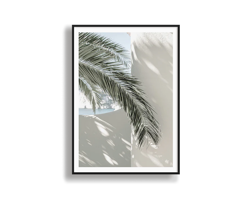 Coastal Palm