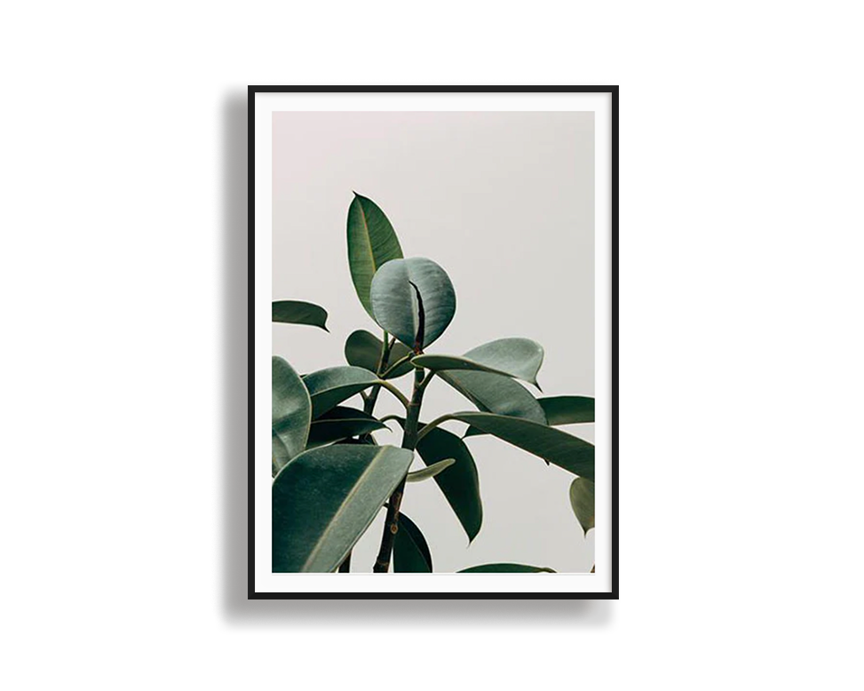 Green Life Print | Wall to Wall Prints