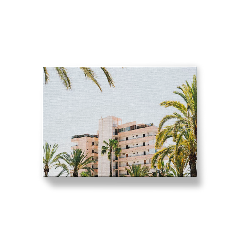 Hotel and Palm Trees