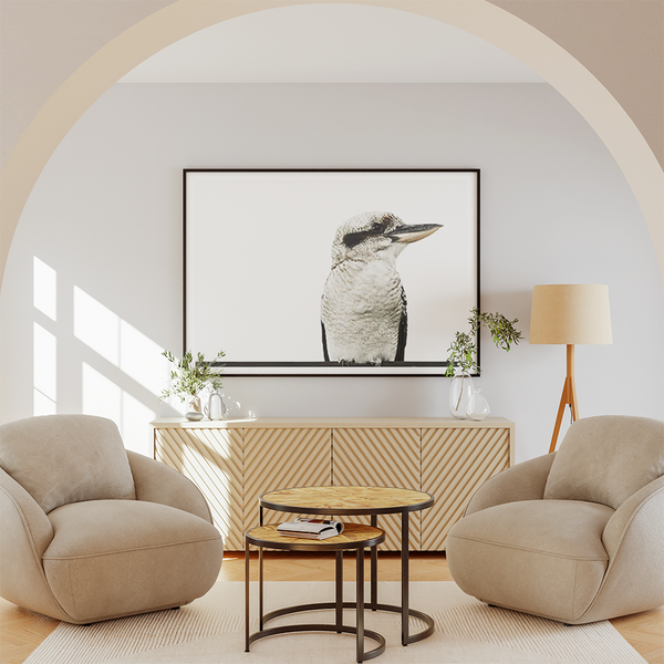 Kookaburra