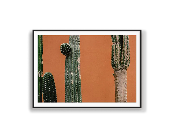 Orange Cactus