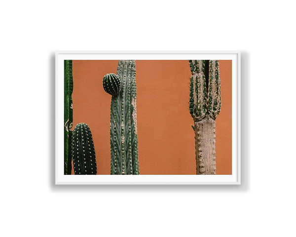 Orange Cactus