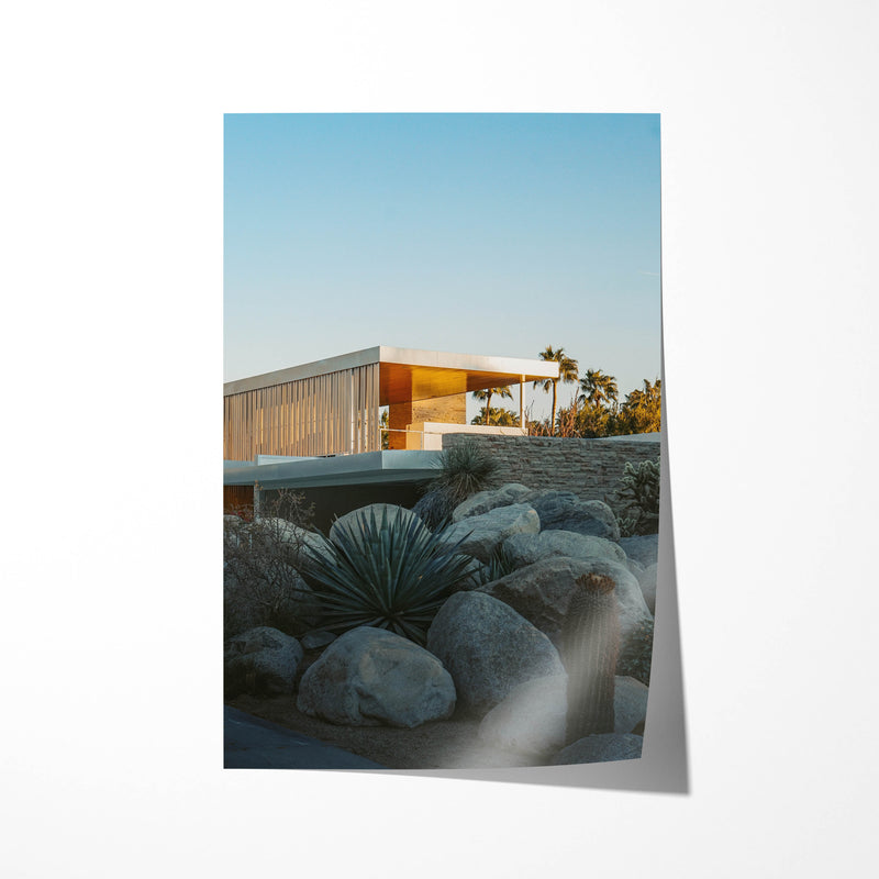 Palm Summer 2