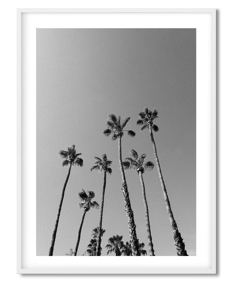 Beneath the palms - DG Designs