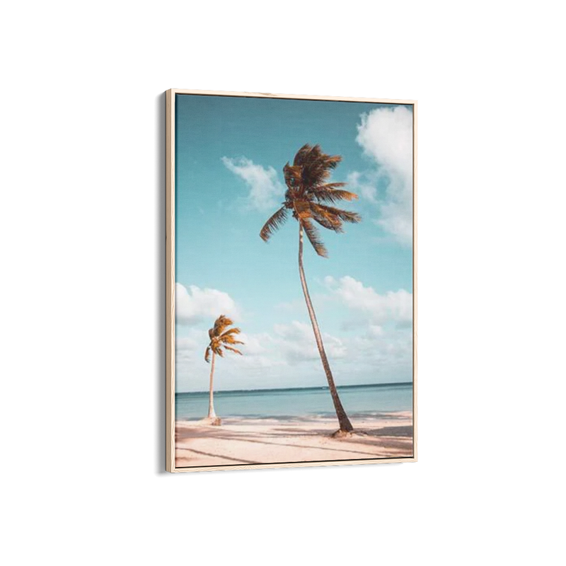 Palm Breeze