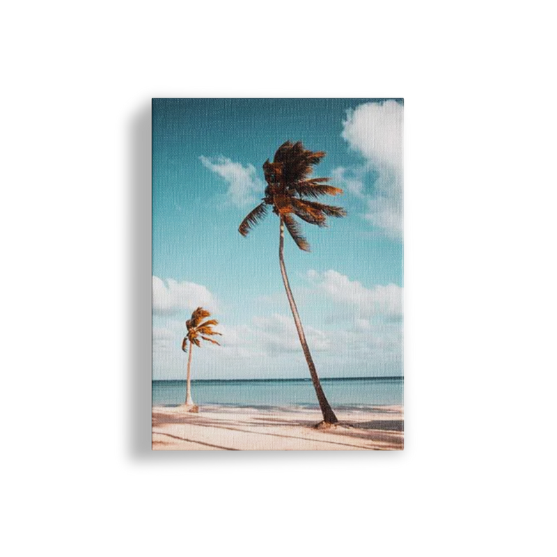 Palm Breeze