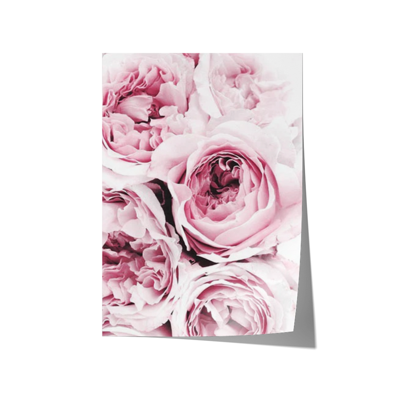 Pink Flowers Print