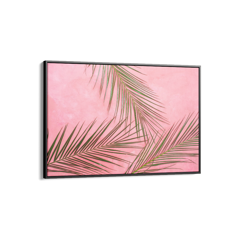 Pink Palms