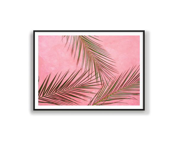 Pink Palms