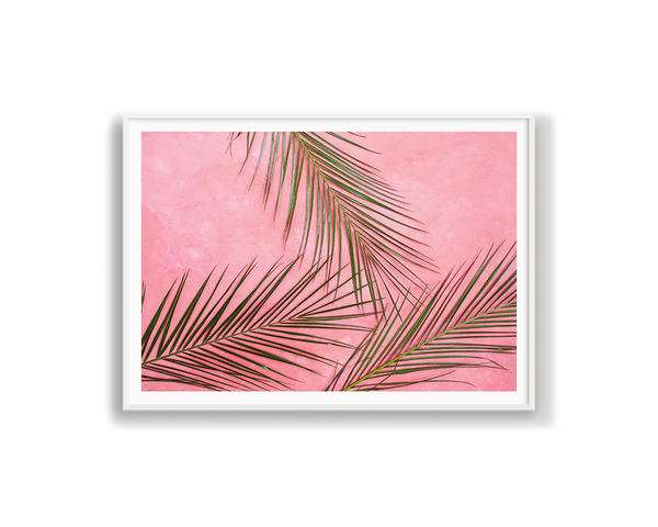 Pink Palms