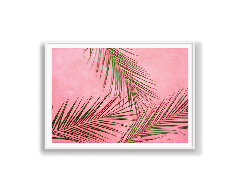 Pink Palms