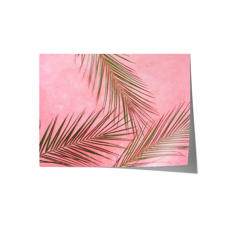 Pink Palms