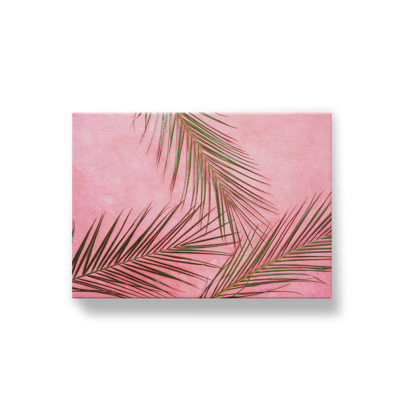 Pink Palms