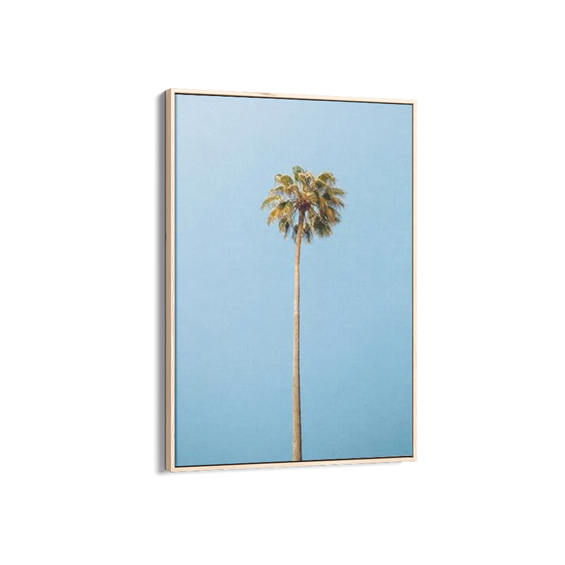 Single Palm