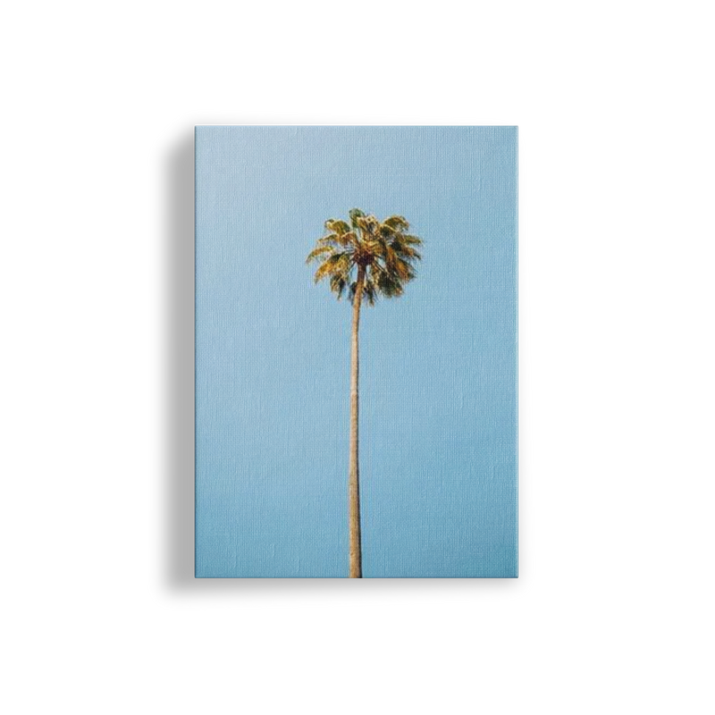 Single Palm