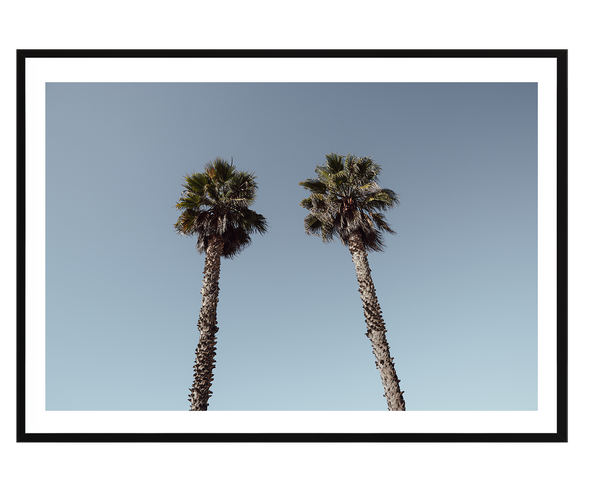 Twin Palms