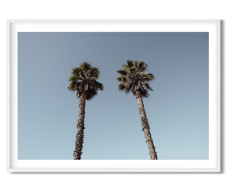 Twin Palms