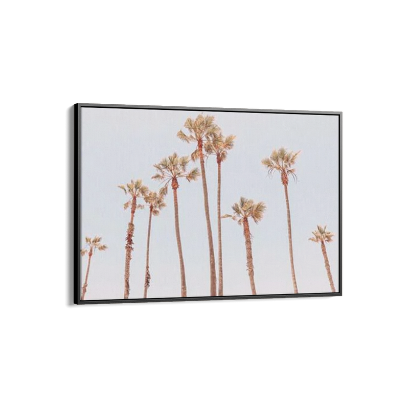 Venice Beach Palms 1