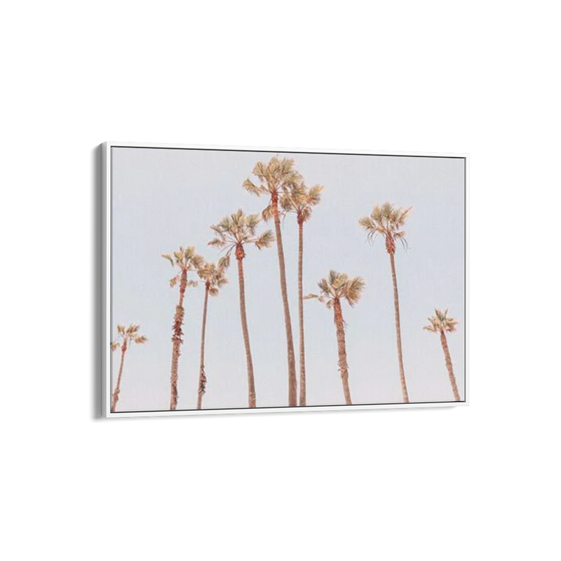 Venice Beach Palms 1