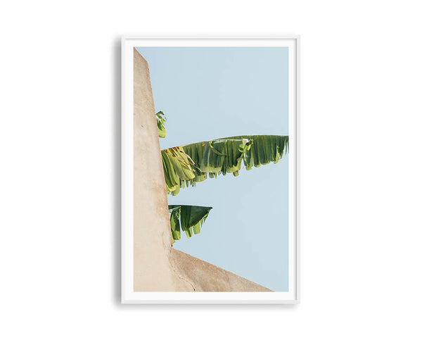 Banana Tree