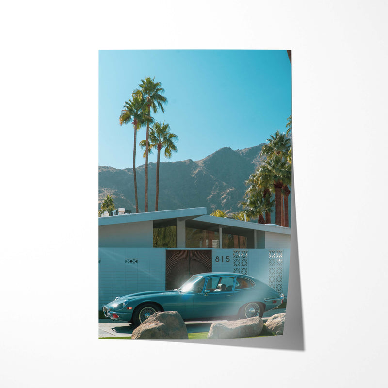 Summer Desert Palm