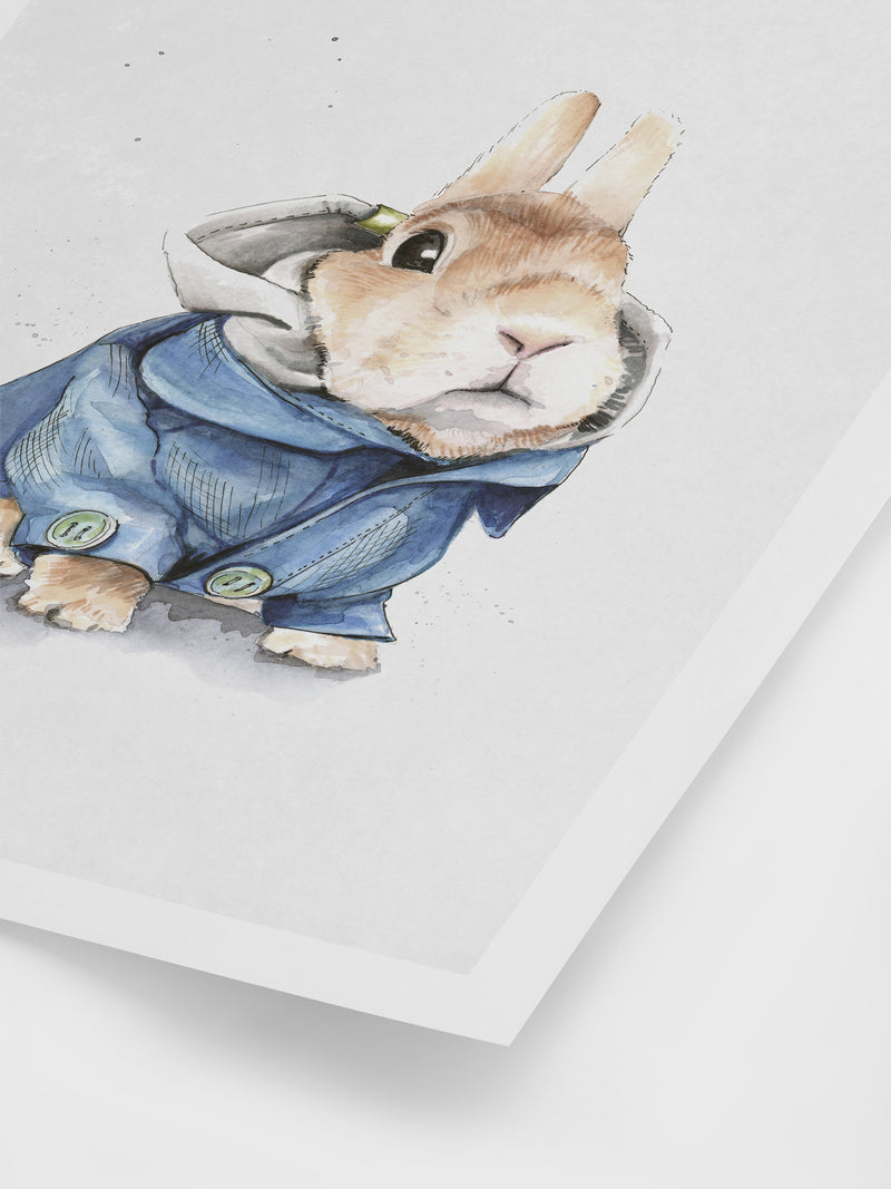 Poster Hub - Peter Rabbit