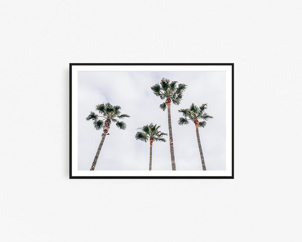 Venice Beach Palms Framed Wall Art