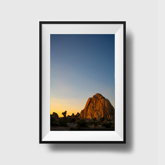 THEPLACESWE | Yucca Framed Wall Art