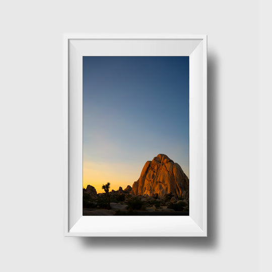 THEPLACESWE | Yucca