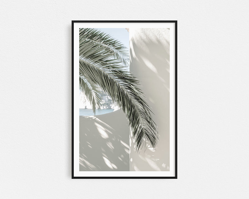 Coastal Palm Framed Wall Art