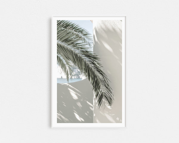 Coastal Palm