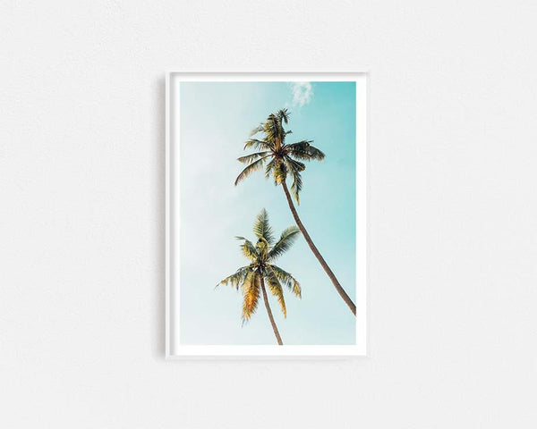 Day Palms