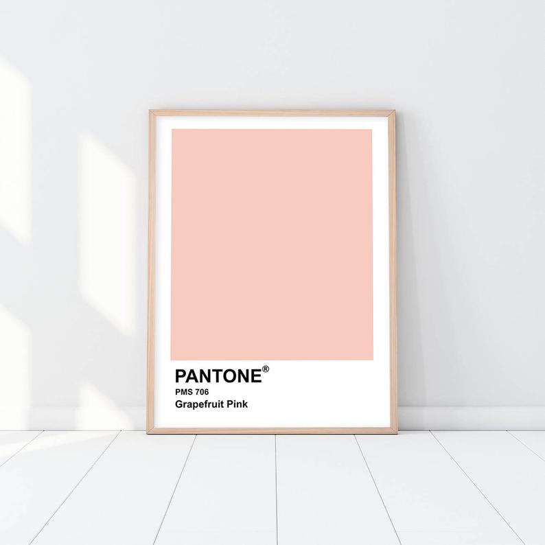Pantone - Grapefruit Pink