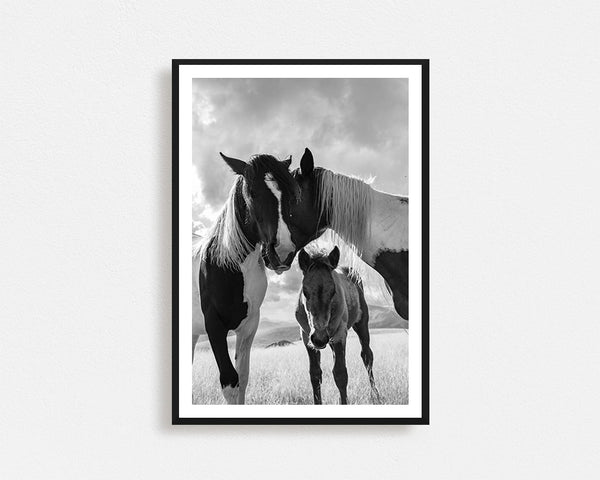 Horse Family Framed Wall Art
